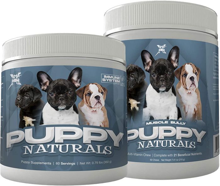 supplements for american bully puppy